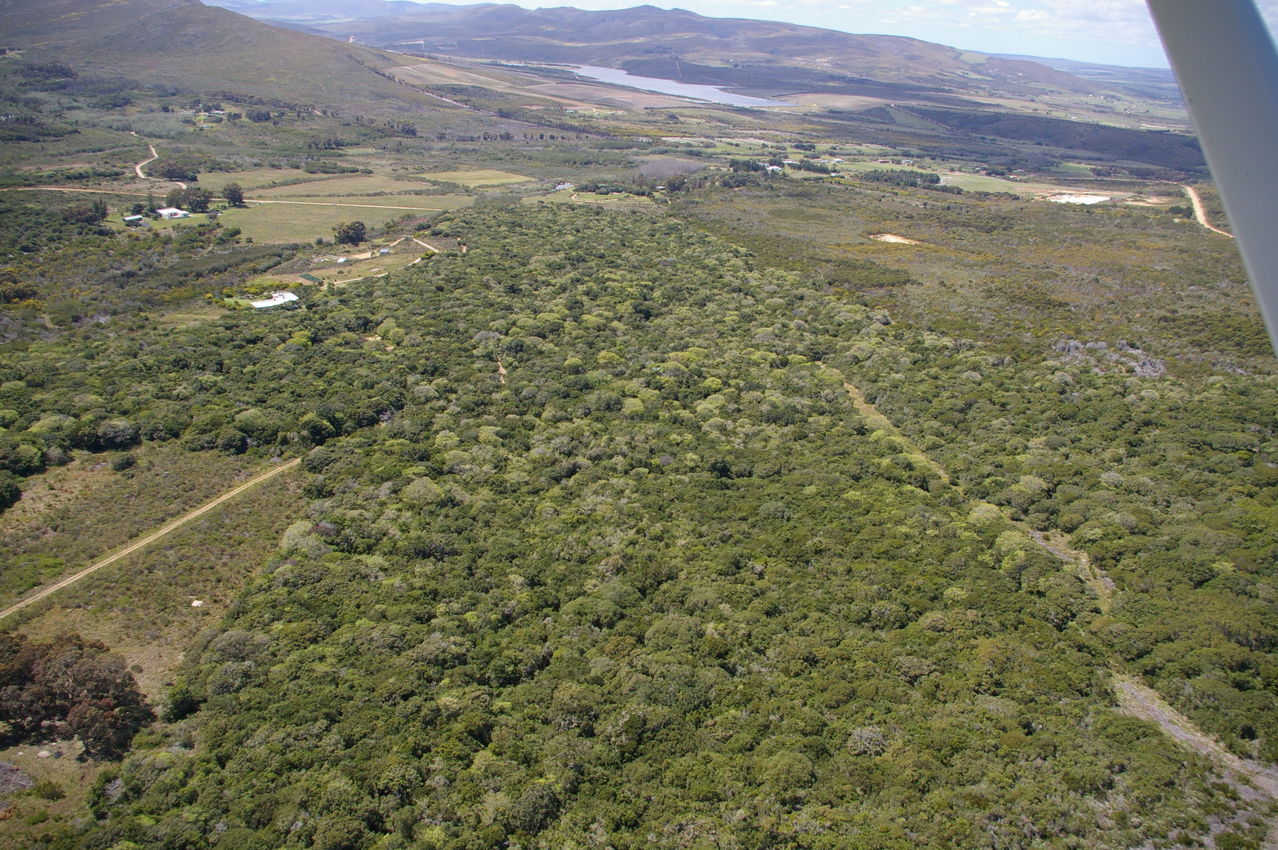Aerial overview of Platbos