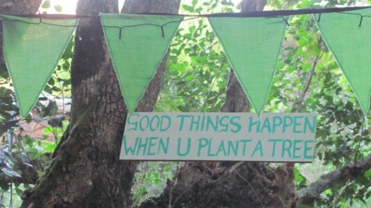 Good things plant a tree