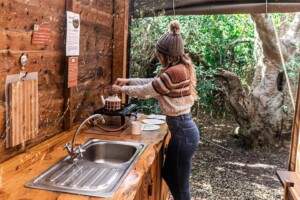At Bush Buck Suite by Nita Nienaber