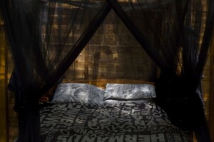 Bush Buck Suite detail by Mattstow Photography