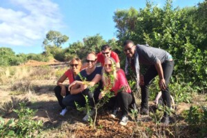 Ozone Tree Planting