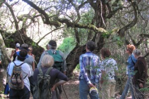 Platbos Guided Walk